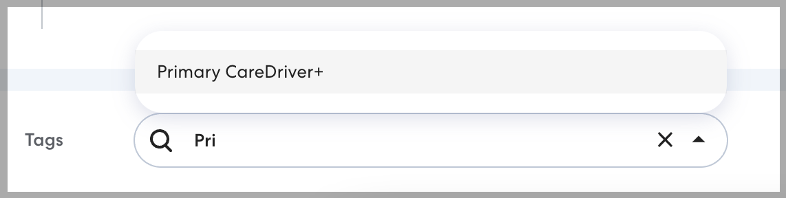 Screenshot showing "Primary CareDriver +" tag being added to a ride series
